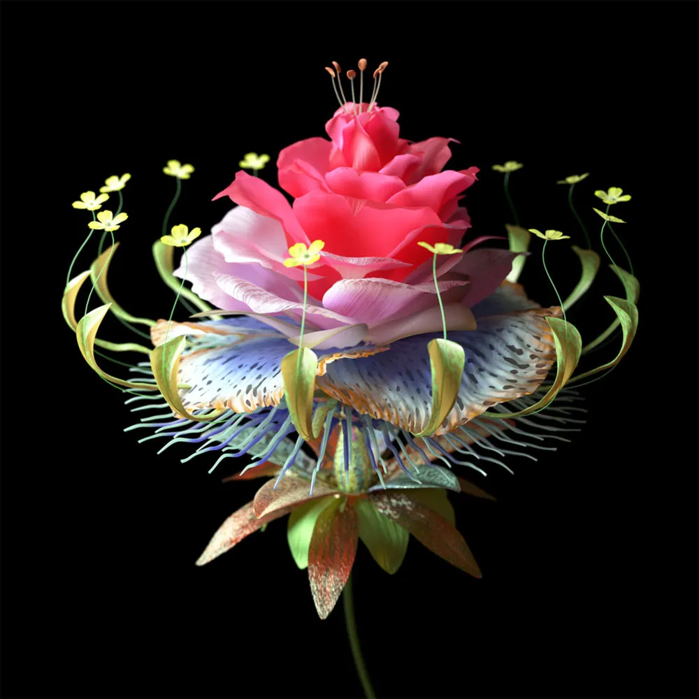 card-img